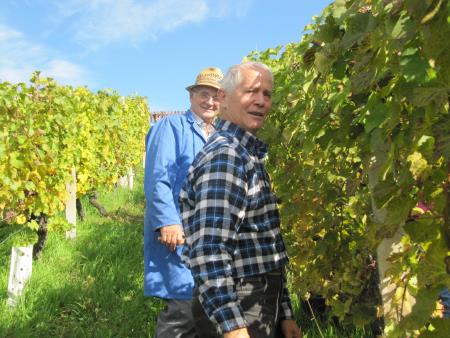 Člani TND Razkrižje obdelujejo vinograd v Šprincu 15